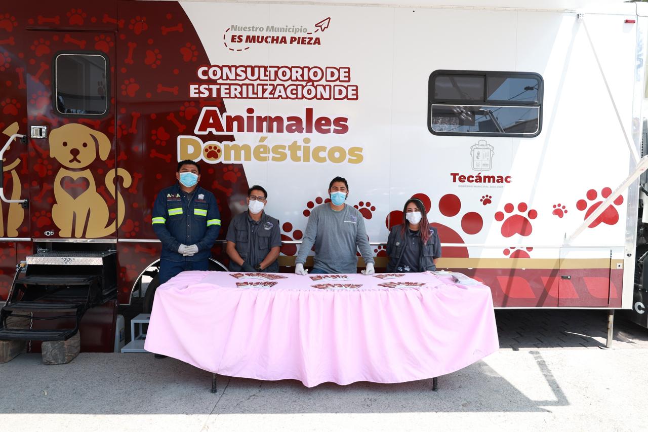 GOBIERNO DE ALCALDESA ROSI WONG CONTINÚA IMPULSANDO EL BIENESTAR DE LOS SERES SINTIENTES EN TECÁMAC CON JORNADAS DE ESTERILIZACIÓN GRATUITAS